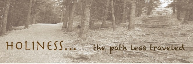 The Path Less Traveled Final